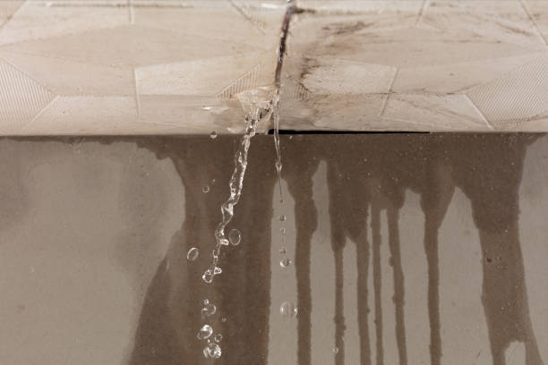 Professional Water Damage Restoration technician working in Louisville, OH